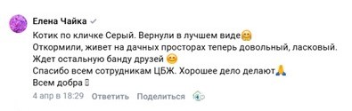 Отзывы