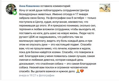 Отзывы